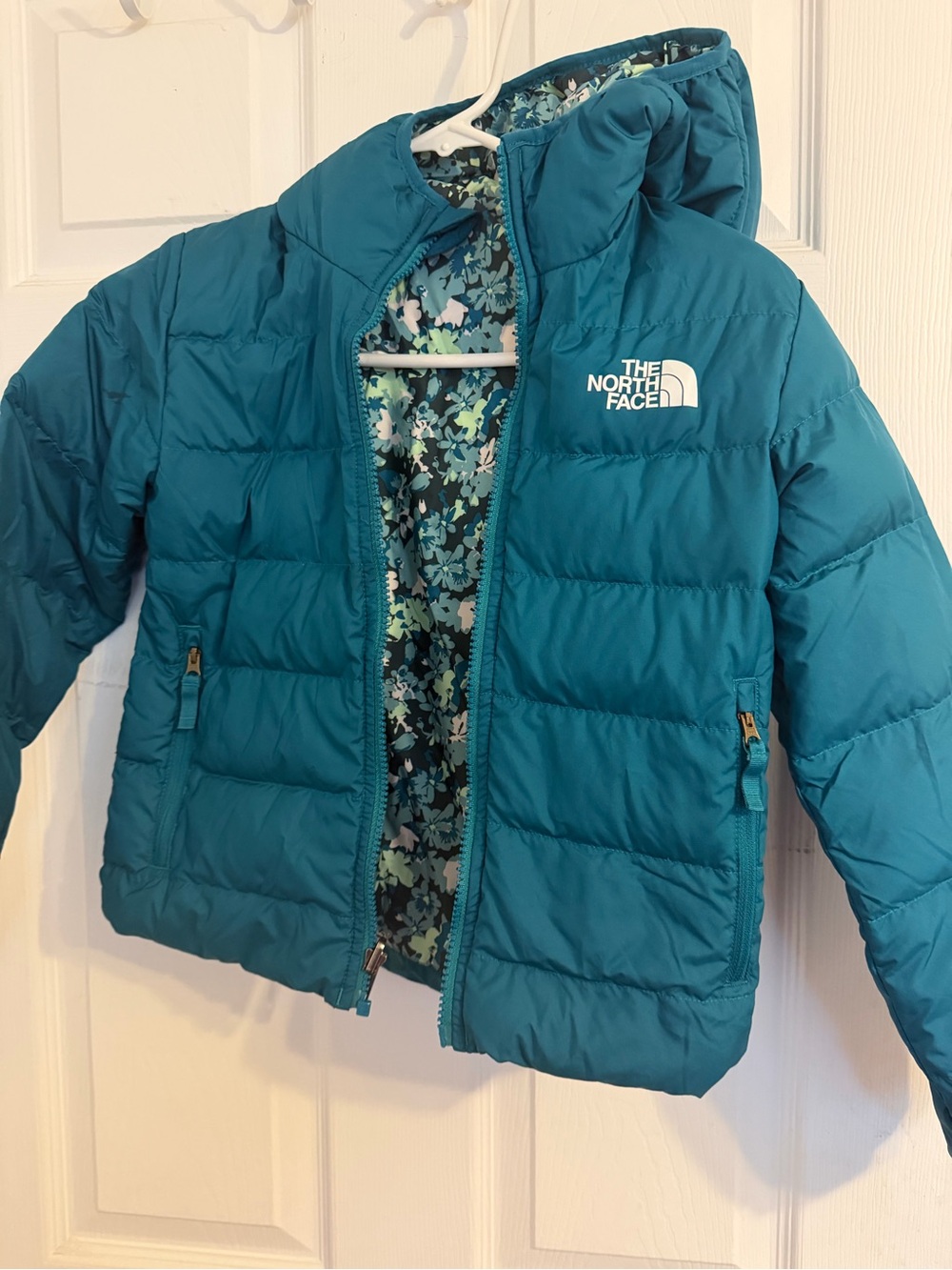 The North Face Girls Teal Hooded Puffer Jacket